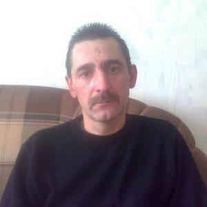 Василий Ужва, 53 года, Инта