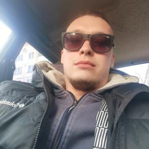 Андрей, 29 лет, Новомосковск