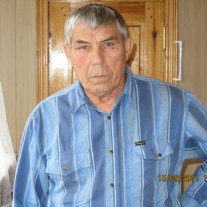 Анатолий Василенко, 80 лет, Чита