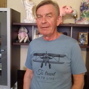 Анатолий Кузьмин, 67 лет, Химки