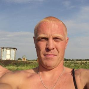 Алелсандр, 44 года, Сальск
