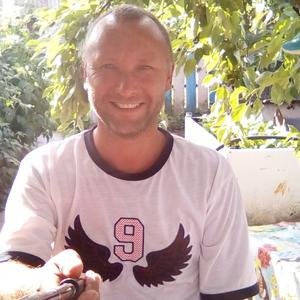 Андрей, 44 года, Железногорск