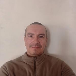Фандус, 44 года, Уфа