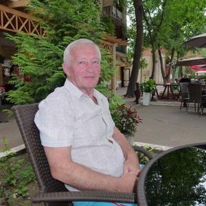 Сергей Привалов, 75 лет, Псков