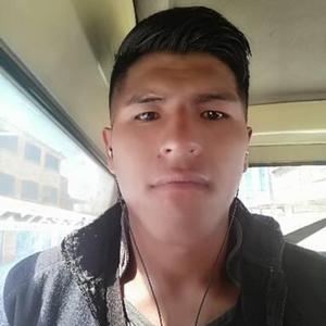 Willy, 26 лет, La Paz