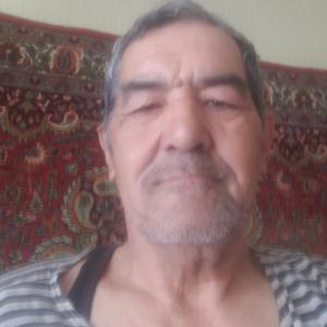 Шамиль Токмуллин, 65 лет, Ташкент