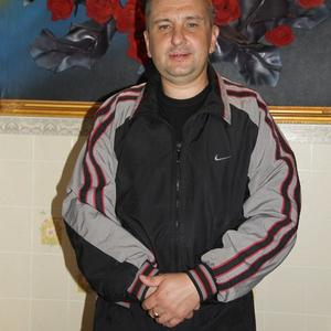 Александр, 44 года, Краснокаменск