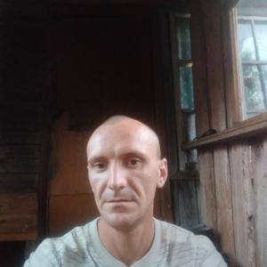 Сергей, 35 лет, Устюжна