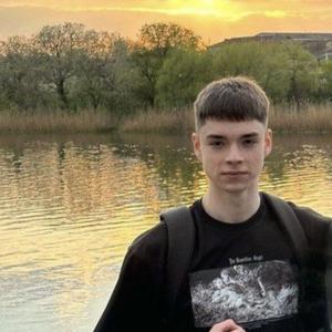 Данил, 19 лет, Зарайск
