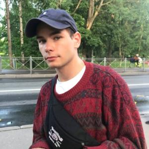 Олег, 19 лет, Сестрорецк