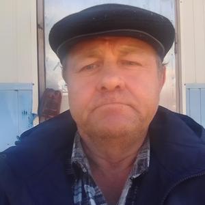 Александр Дружков, 60 лет, Пенза