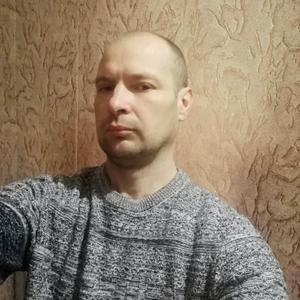 Роман, 42 года, Витебск