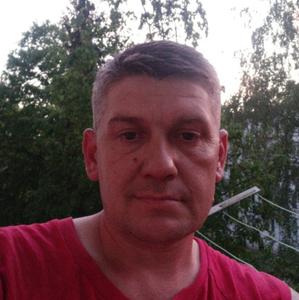 Александр Лебедев, 43 года, Серпухов