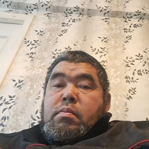 Исмаил С Оша, 53 года, Северо-Задонск