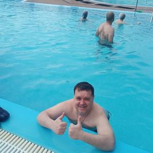 Дмитрий, 43 года, Незлобная