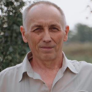 Владимир, 63 года, Чебаркуль