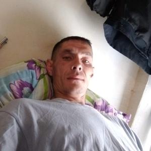 Олег, 37 лет, Йошкар-Ола