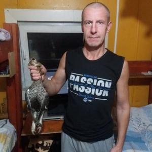 Александр, 47 лет, Сосногорск
