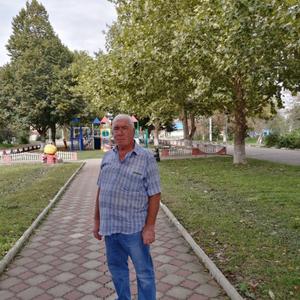 Иван, 72 года, Армавир
