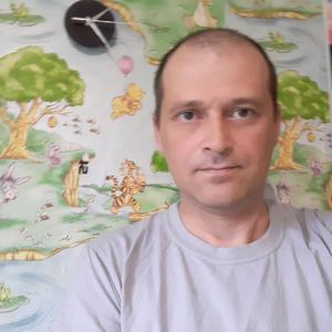 Александр, 42 года, Бабаево