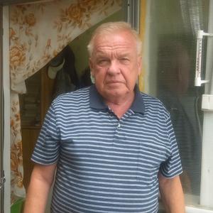 Сергей, 67 лет, Сердобск