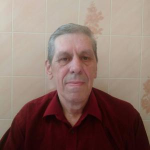 Сергей, 68 лет, Тула