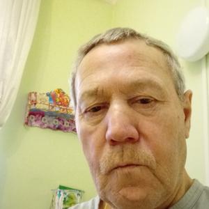 Парни в Челябинске: Борис, 71 - ищет девушку из Челябинска