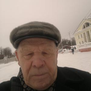 Парни в Сарапуле: Виктор Холмогоров, 76 - ищет девушку из Сарапула