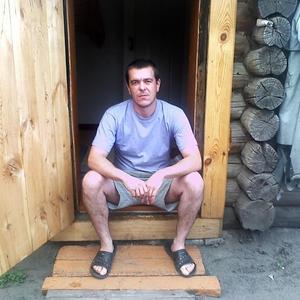 Андрей, 44 года, Курган