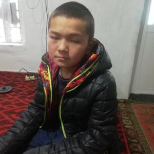 Азизбек, 35 лет, Кыргыз-Кыштак