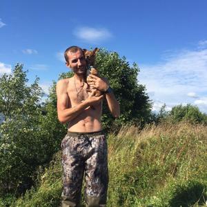 Алексей, 35 лет, Лобня