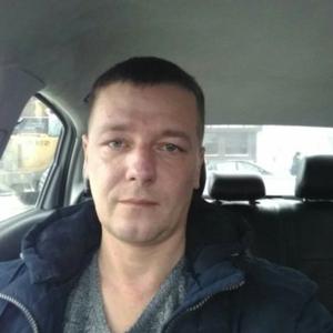 Александр Кривотулов, 46 лет, Воронеж