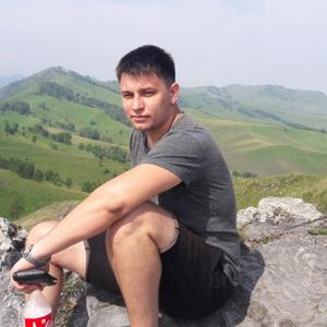 Анатолий, 31 год, Новоалтайск