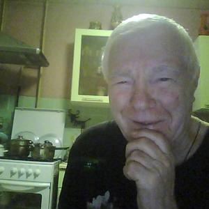 Вячеслав, 81 год, Нижний Новгород