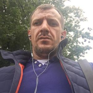 Сергей, 42 года, Архангельск