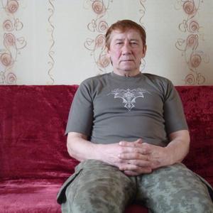 Парни в Вологде: Евгений, 65 - ищет девушку из Вологды