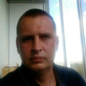 Кирилл, 41 год, Ступино