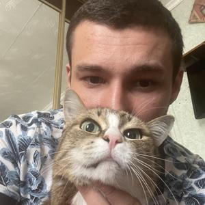 Aleksey-, 27 лет, Нягань