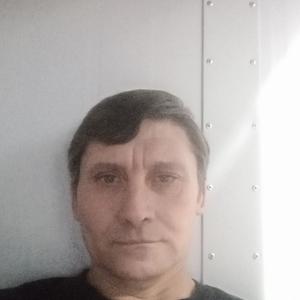 Владимир, 50 лет, Магнитогорск