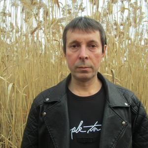 Илья, 51 год, Волгоград