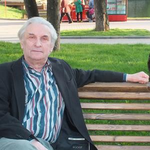 Александр, 82 года, Москва