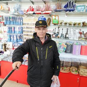 Виктор, 75 лет, Курск