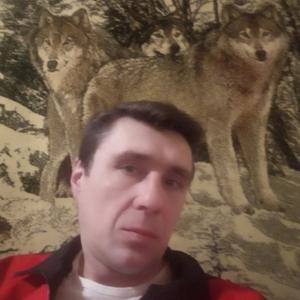 Владимир, 42 года, Медынь