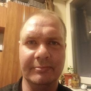 Дмитрий, 44 года, Выборг