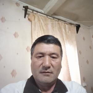 Камил, 54 года, Нижний Новгород