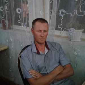 Александр, 44 года, Окуловка