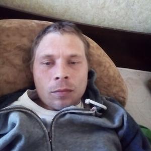 Сергей, 36 лет, Кондопога