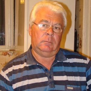 Виктор, 70 лет, Курск