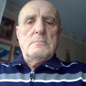 Валерий, 80 лет, Выборг