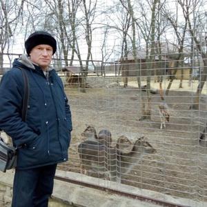 Андрей Владимирович, 59 лет, Зверево